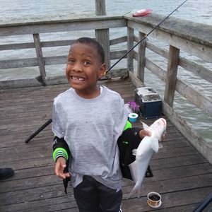 Meet your Posher, Willie